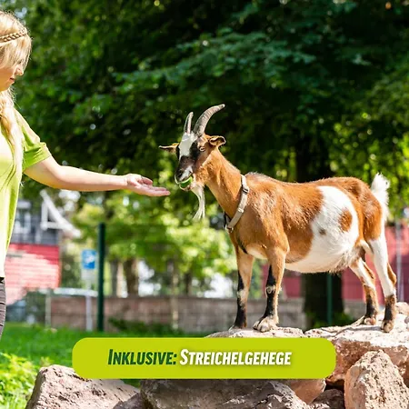 Ahorn Seehotel 호텔 3*