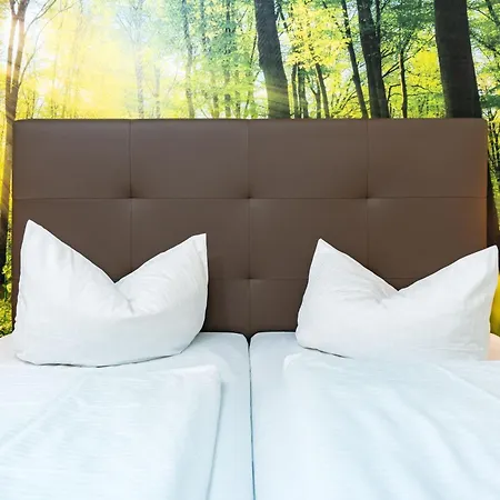 Ahorn Seehotel Hotel 3*