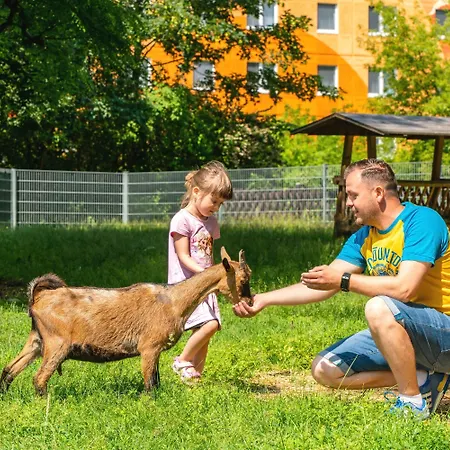 Szálloda Ahorn Seehotel 3*