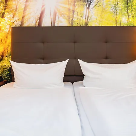 Ahorn Seehotel 3*