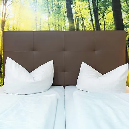 Ahorn Seehotel 3*