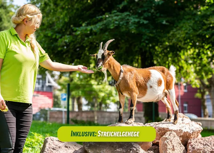 Ahorn Seehotel Hotel 3*