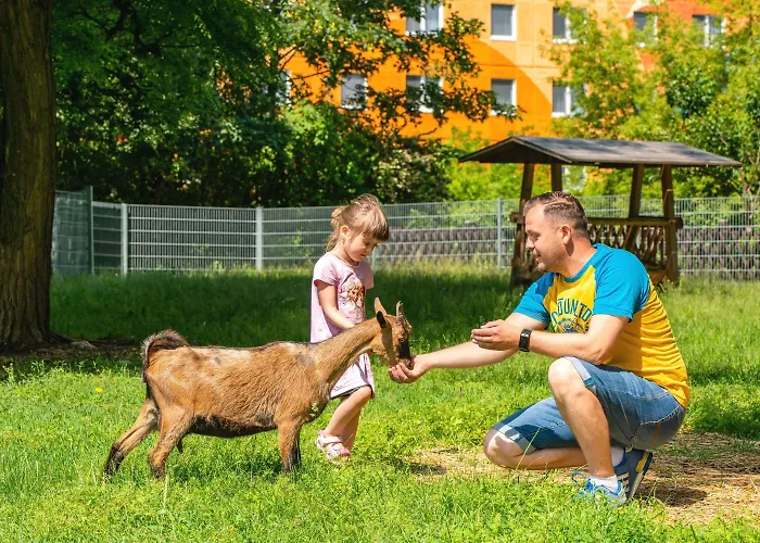 فندق Ahorn Seehotel 3*